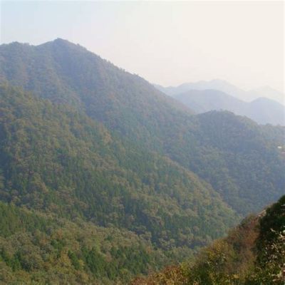 Jiulongshan National Forest Park - Näkymättömän luonnon kauneuden ja mystisen historian kohtauspaikka!