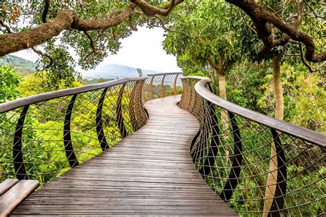  Kirstenbosch National Botanical Garden: Luonnon ihmeellinen paratiisi Kapkaupungin sydämessä!