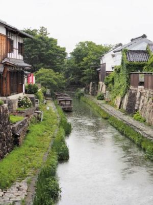 Omihachiman Hakkiin-san Jinja: Kaupunkilaisten rauha ja historiallinen ylienämys!