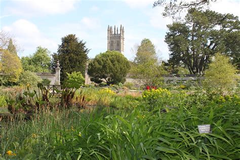  Oxford Botanic Garden –  Ihmeellinen Kasvien Maailma Historiallisessa Asetelmassa!