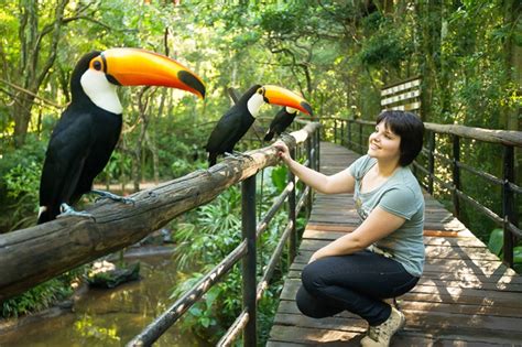 Parque das Aves: Lumoava lintujen paratiisi Cuitan näköalalla!