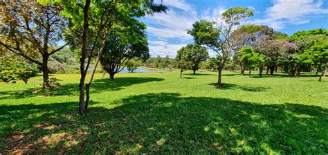  Parque do Sabiá? Seikkailua ja historiallista charmia Belo Horizontissa!