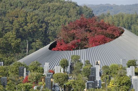  Qiaozhao Xianbei Cemetery: Historial Mystery and Breathtaking Architecture!